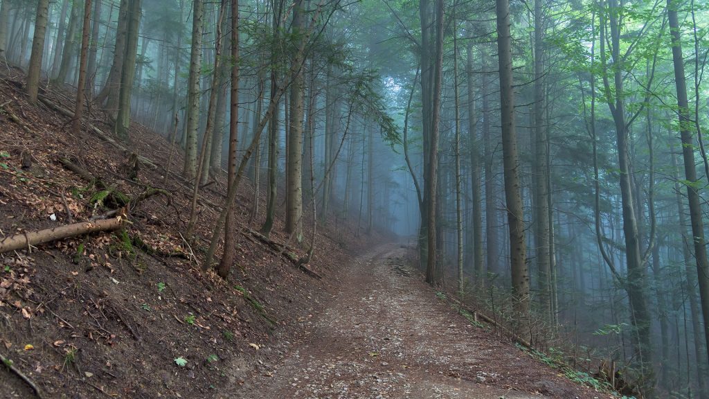 Misty-Mountain-Paths-