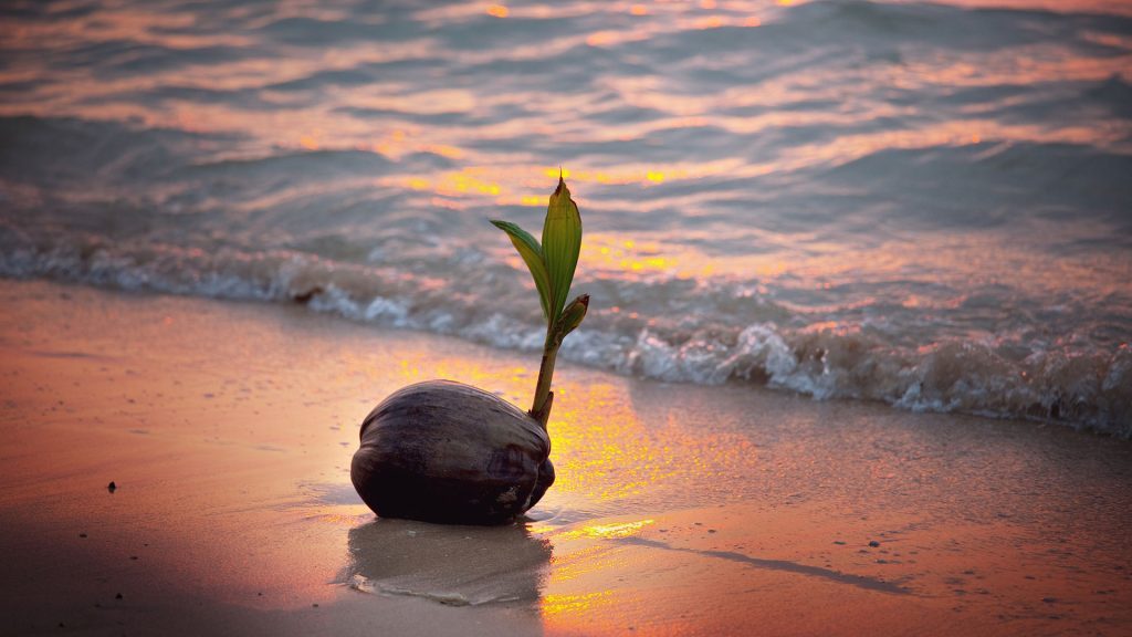 Strategy-for-Turning-Challenges-into-Opportunities